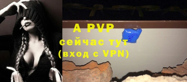ПСИЛОЦИБИНОВЫЕ ГРИБЫ Семёнов