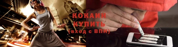ПСИЛОЦИБИНОВЫЕ ГРИБЫ Семёнов