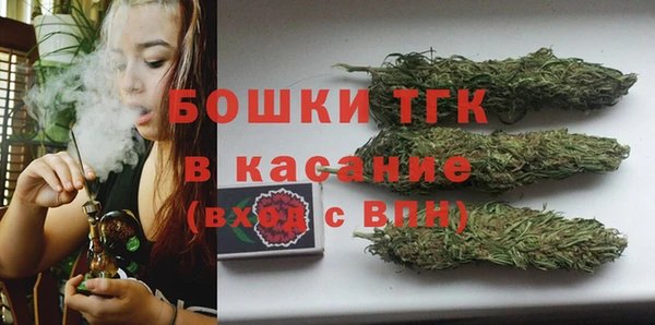 ПСИЛОЦИБИНОВЫЕ ГРИБЫ Семёнов