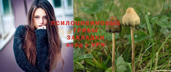 соль ск Семилуки
