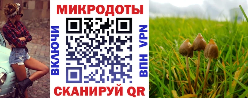 Галлюциногенные грибы Psilocybe  Трубчевск 